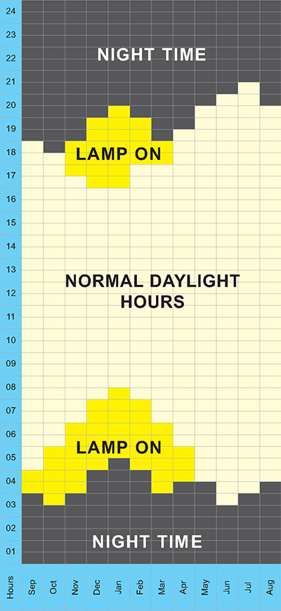 Rooster Booster Lighting Chart UK Daylight Hours