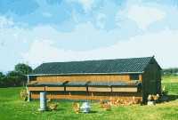 The Rooster Booster multi lighting larger houses